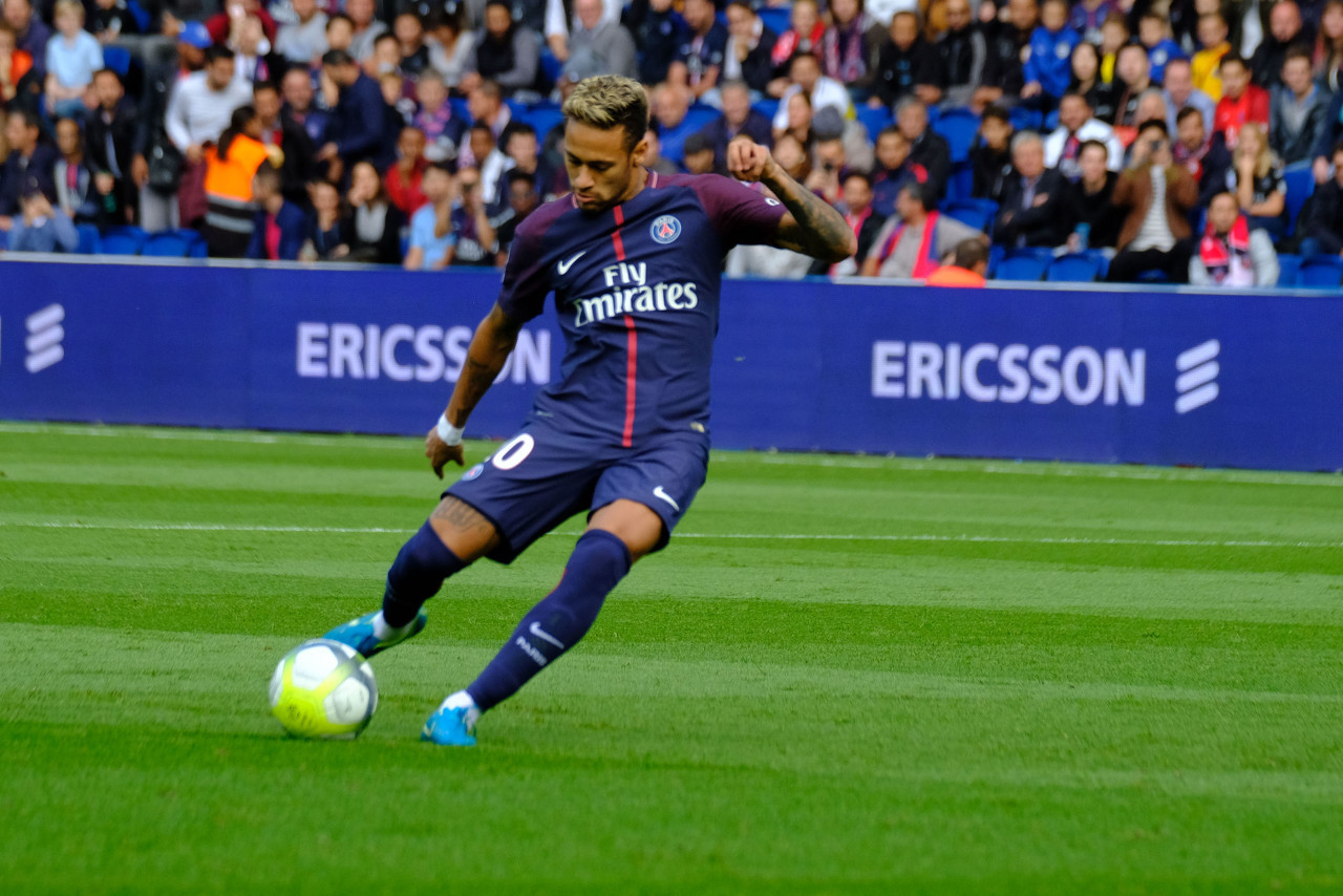 蓝鸟等对手 蓝鸟等对手