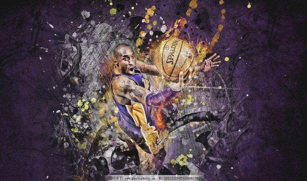 空间利用 空间利用